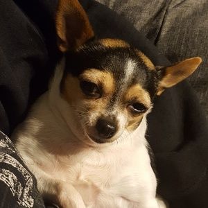 Meet your Posher, Beto